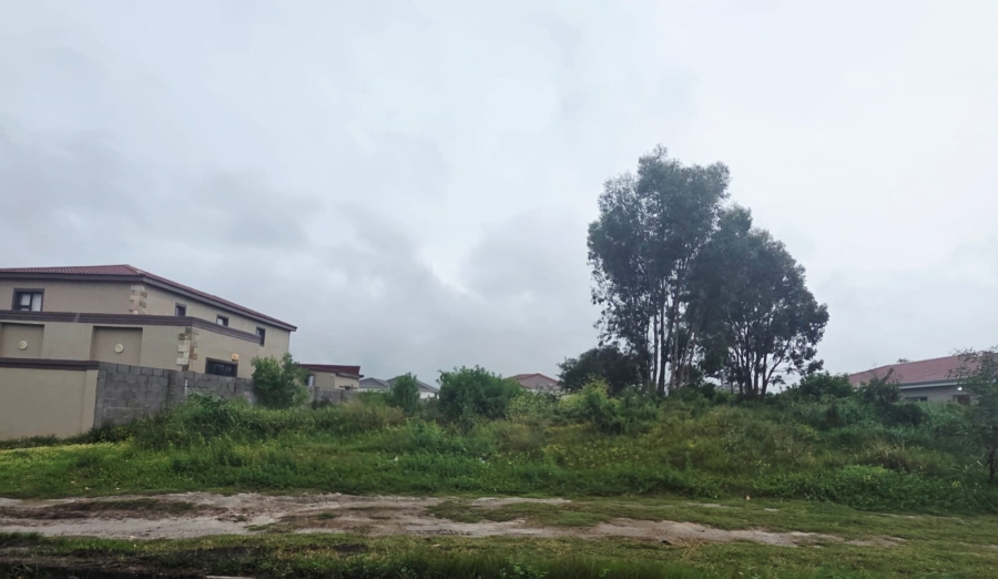 0 Bedroom Property for Sale in Fairview Eastern Cape